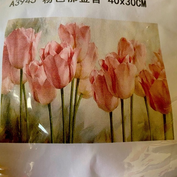 Paint by diamond- full kit - Picture 1 of 2